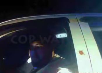 H3007002 FAKE BORDER PATROL! Man Busted Driving Replica Patrol Vehicle! 🤯🚨